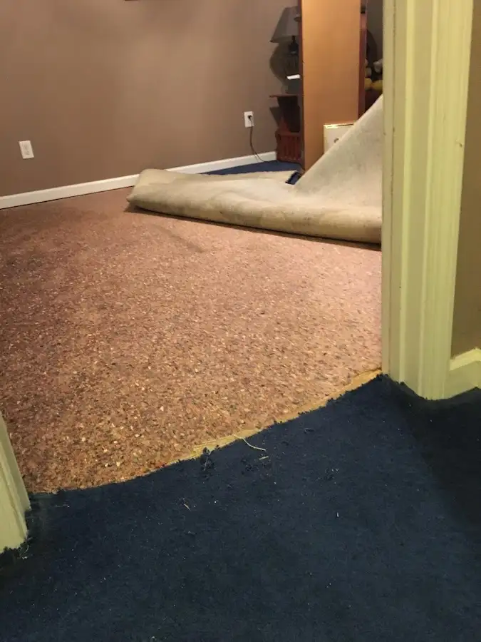 Carpet pad removal revealing water damage during Water Mitigation Services in Albany