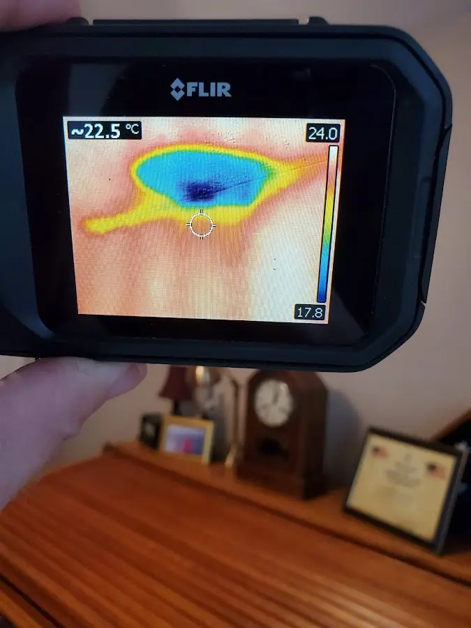 Thermal imaging inspection for water damage in Albany